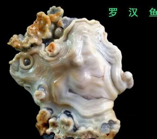 360截图20211119003134750.jpg