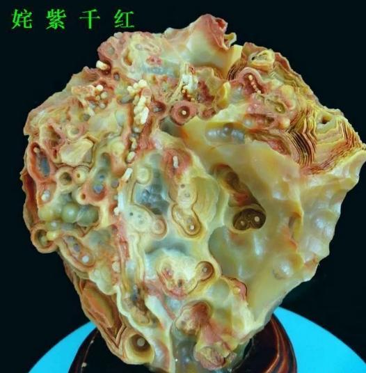 360截图20211119003517281.jpg