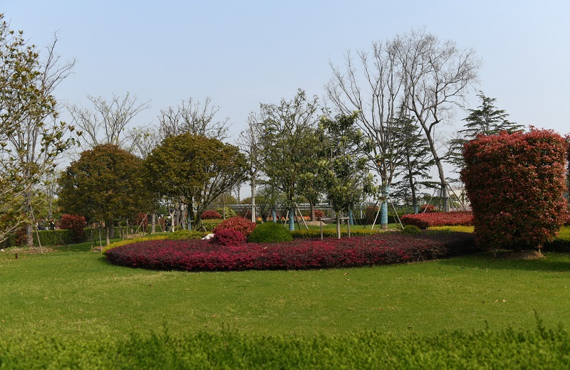 园区景观_上海仙乐息园