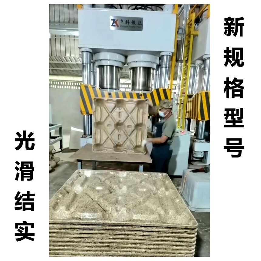 DƬ.jpg