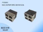 RJ45 2X2PORT 8P8C ᘎȫ