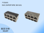 RJ45 2X4PORT 8P8C ȫ