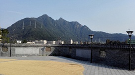 273-2.jpg