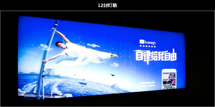 �����������Ͷ��