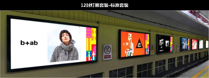 �����������Ͷ��