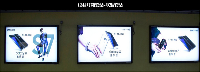 �����������Ͷ��