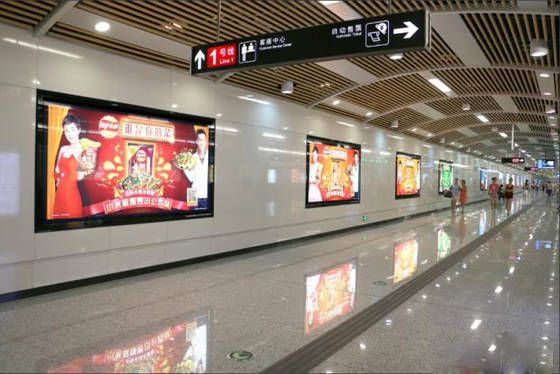 ������Ͷ��