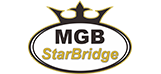 MGB StarBridge_Professional manufacturer of electric reverse trike