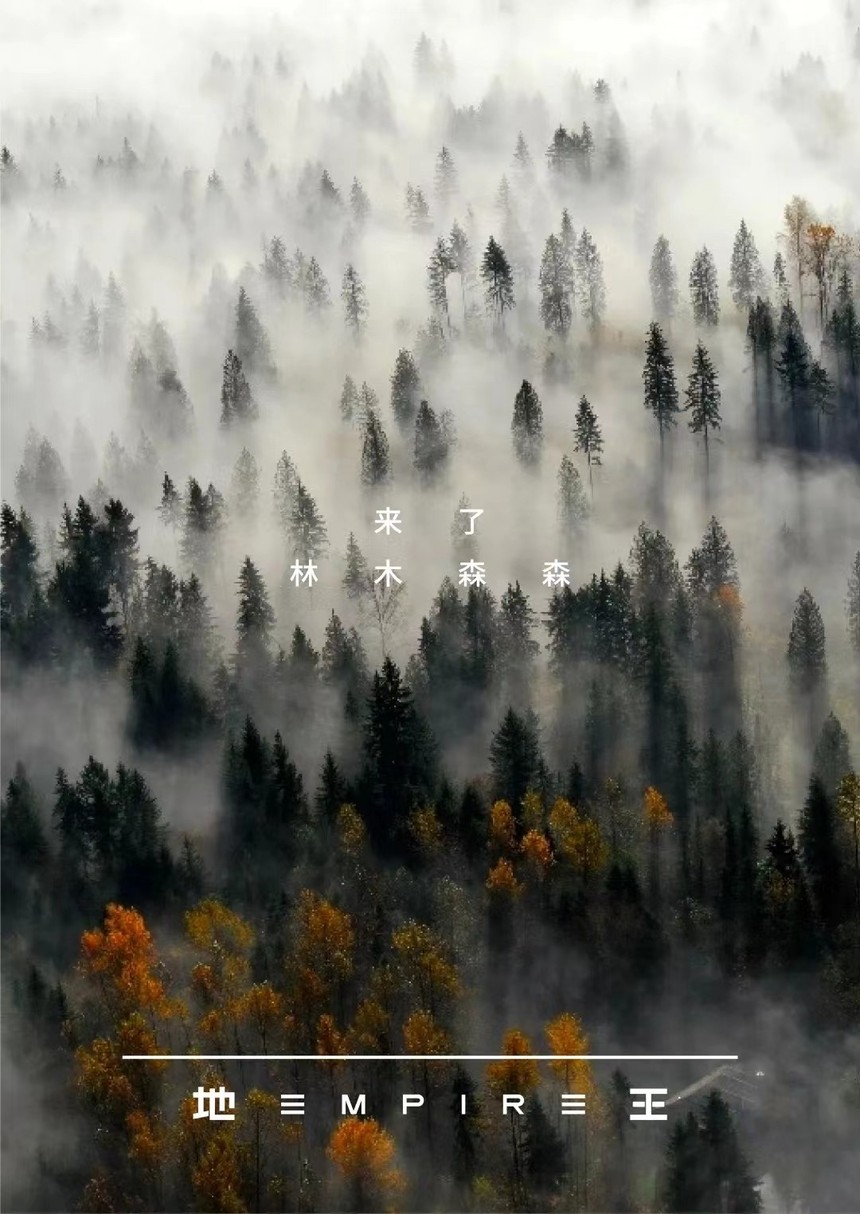 地王(empire)是中国抚松金隆木业集团打造享誉全球的地板品牌.