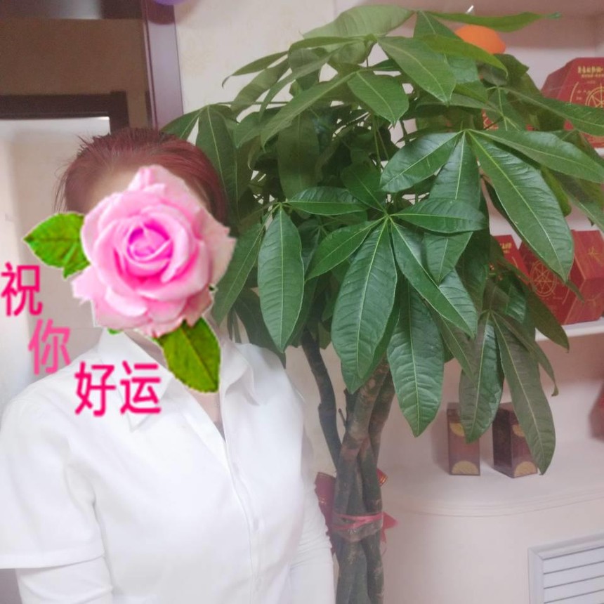 ΢��ͼƬ�༭_20200617180020.jpg
