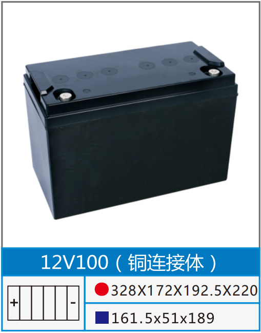 12V100~Bw.png