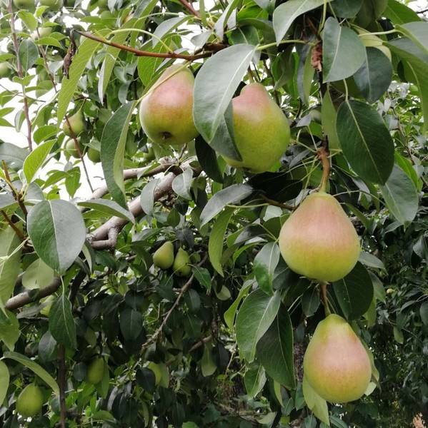 1569574309750299.jpg timg (37).jpg