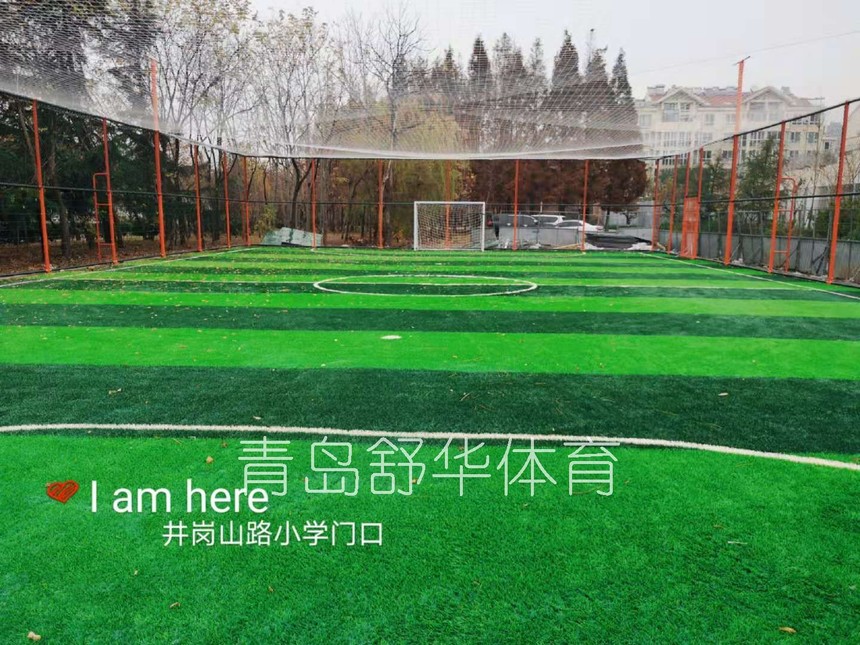 2020年西海岸新区体育场地 