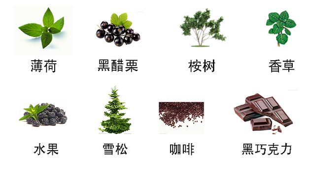 奔月1.png