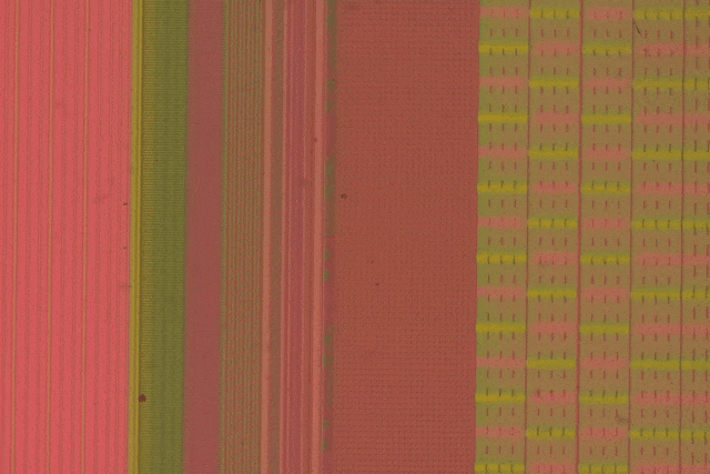 ΢ͼƬ_20250310154905.gif