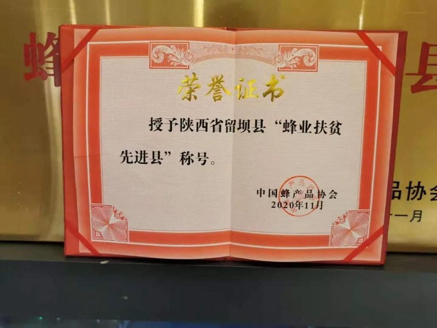 1606809678988575.jpg