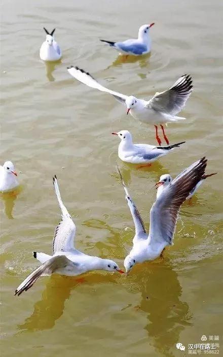΢ͼƬ_20201204104153.jpg