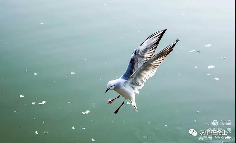 ΢ͼƬ_20201204104214.jpg
