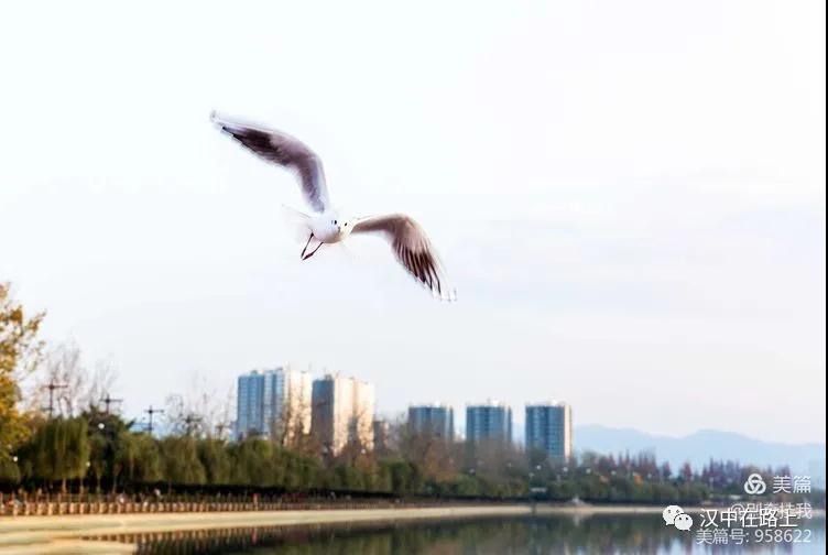 1607050401656646.jpg 微信图片_20201204104235.jpg