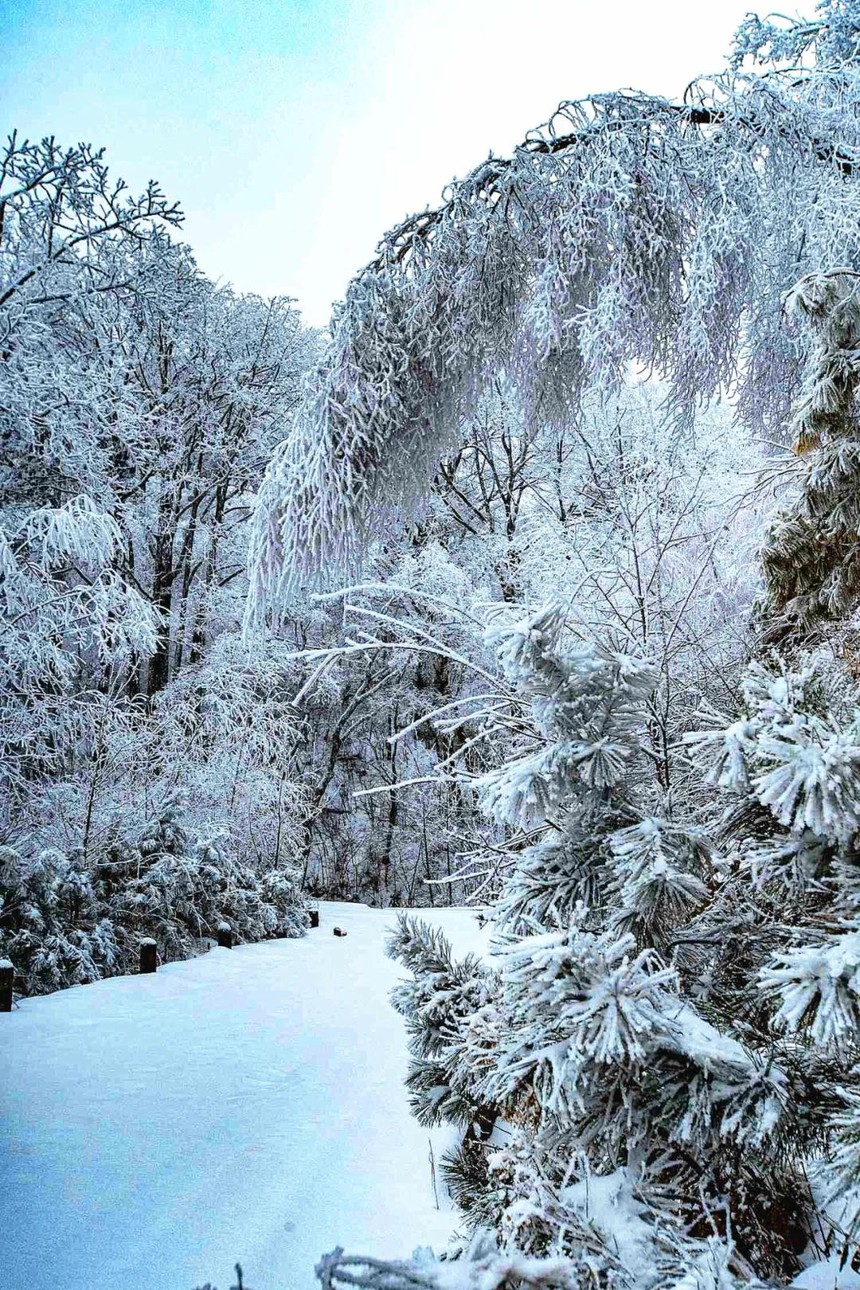 ΢ͼƬ_20201215131138.jpg