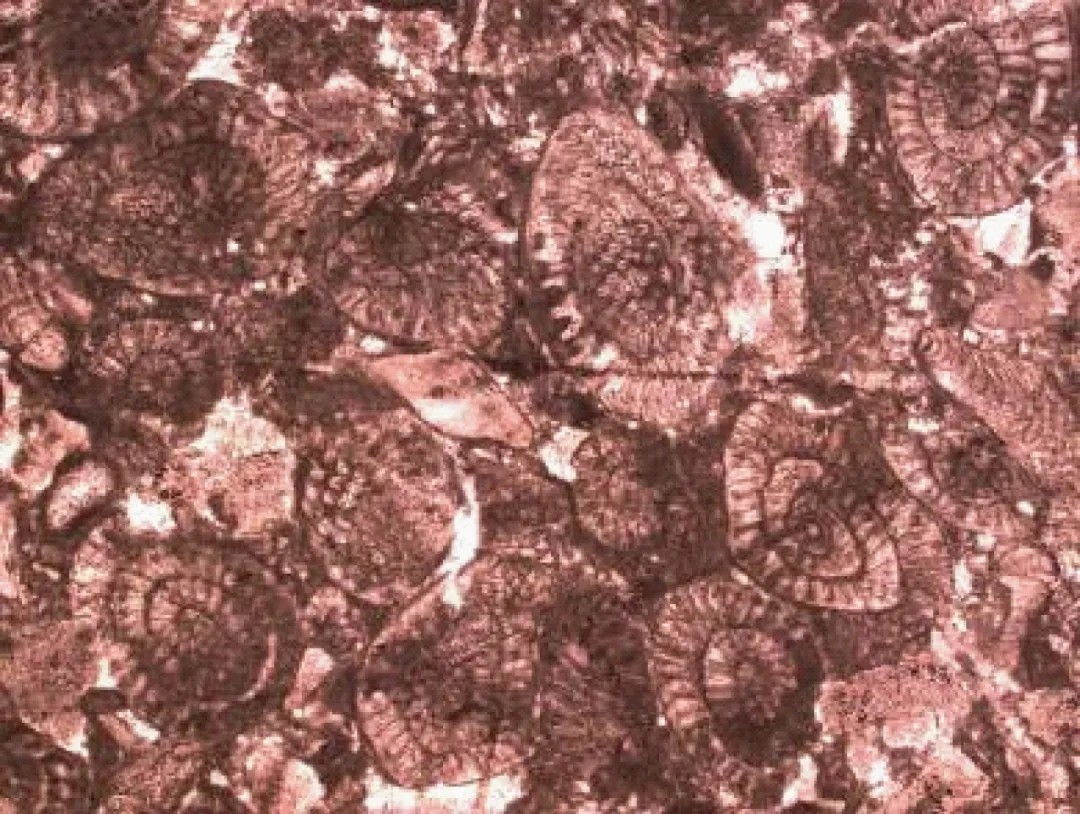 1618210604236813.jpg