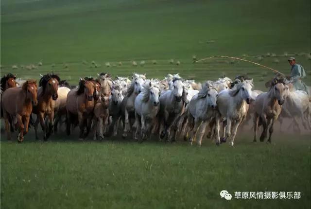 1621993575324267.jpg 微信图片_20210526093956.jpg