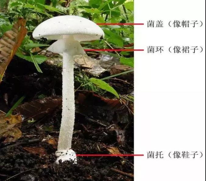 ΢ͼƬ_20210527094118.jpg