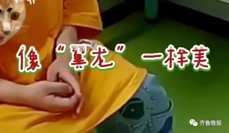 t01714d74889e54dab9.webp.jpg