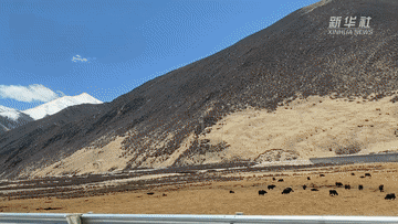 1622793820572446.gif