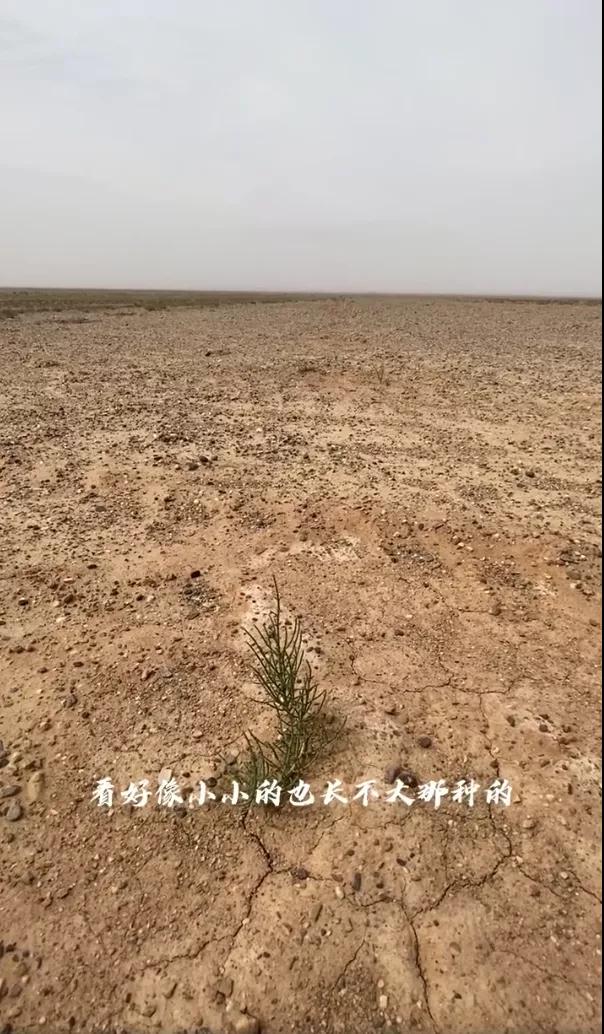 1631589151737314.jpg 微信图片_20210914111110.jpg