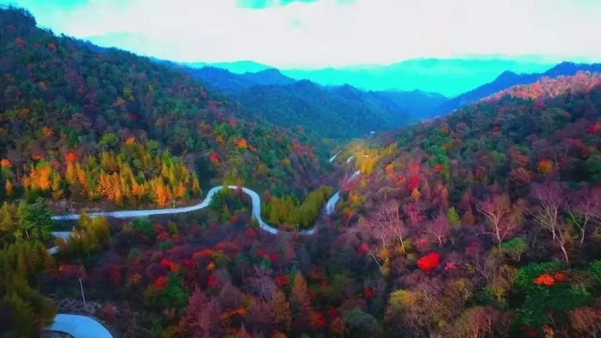 ΢ͼƬ_20211026093911.jpg