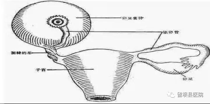 ΢ͼƬ_20211103111434.jpg