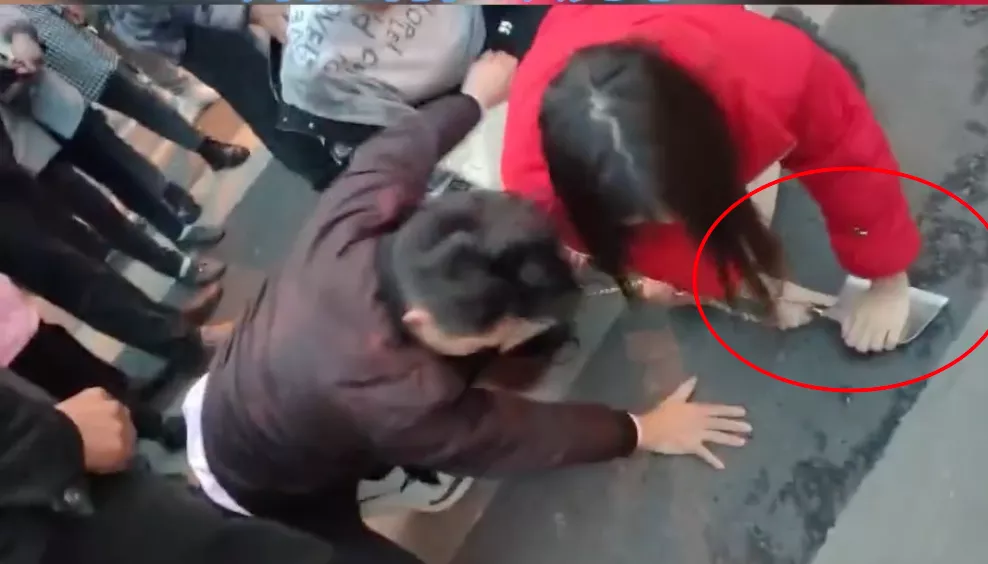 1637805728867712.jpg