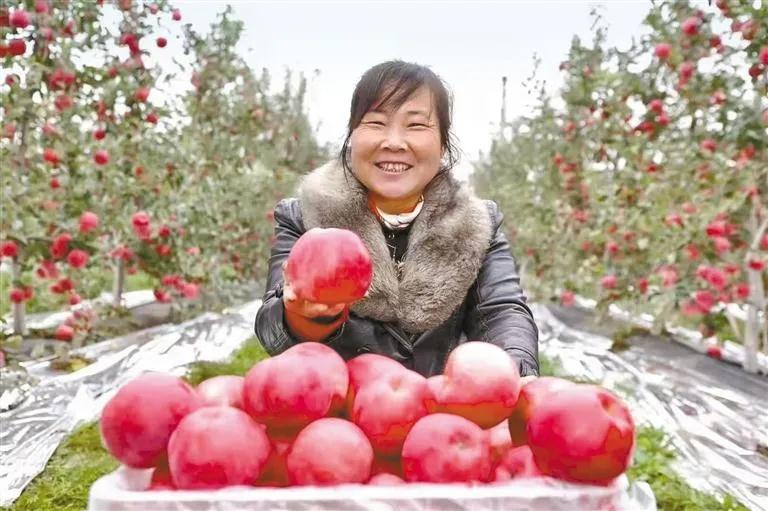 1638415618803413.jpg 微信图片_20211202112615.jpg
