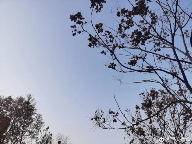 728da9773912b31bc16f4faade6fbf73dbb4e1b7.jpeg