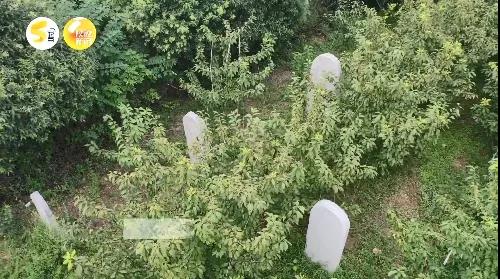 1639533683374439.jpg 微信图片_20211215100103.jpg