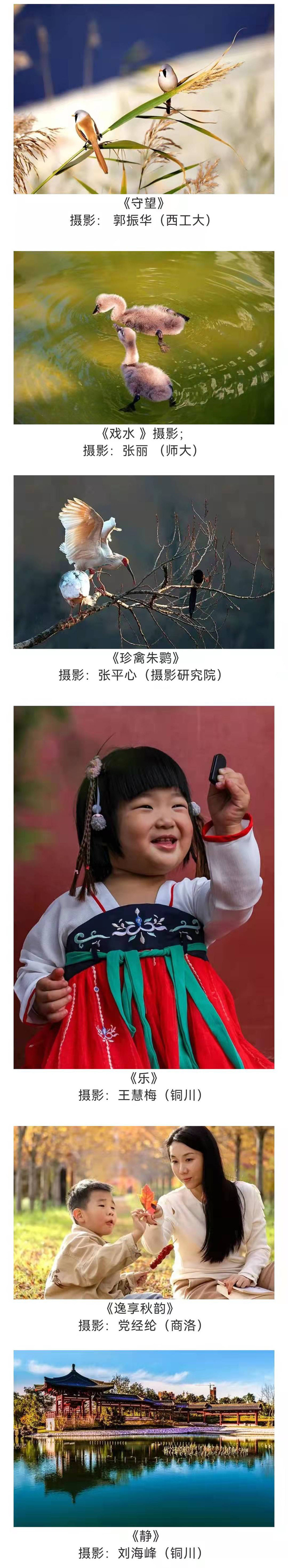 1640442633568775.jpg