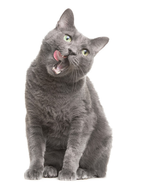1646278723859249.png 微信图片_20220303113800.png