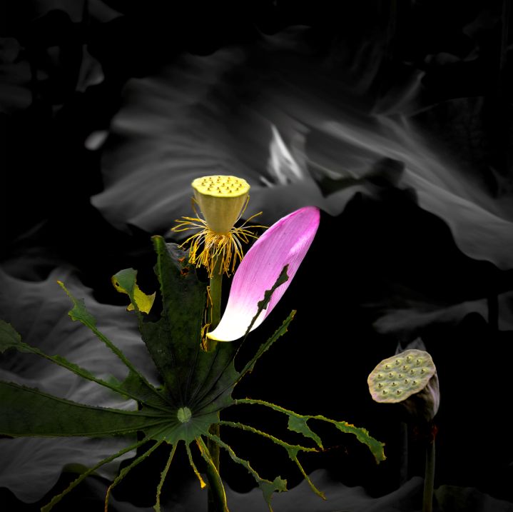 ΢ͼƬ_20220602095004.jpg