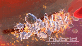 640 (5).gif
