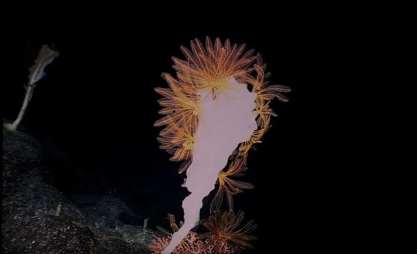 ΢ͼƬ_20220816095651.jpg