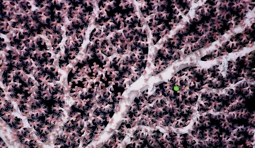 ΢ͼƬ_20220816095704.jpg