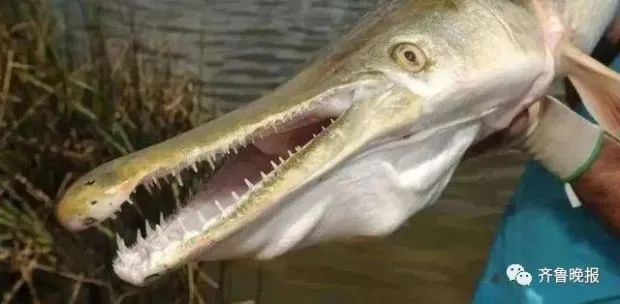 ΢ͼƬ_20220825100504.jpg