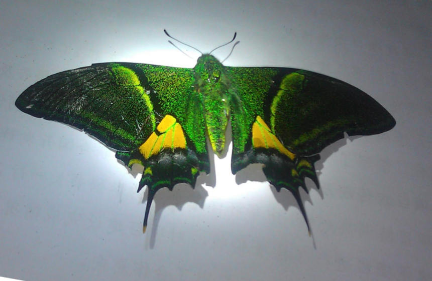 ΢ͼƬ_20220906105008.png