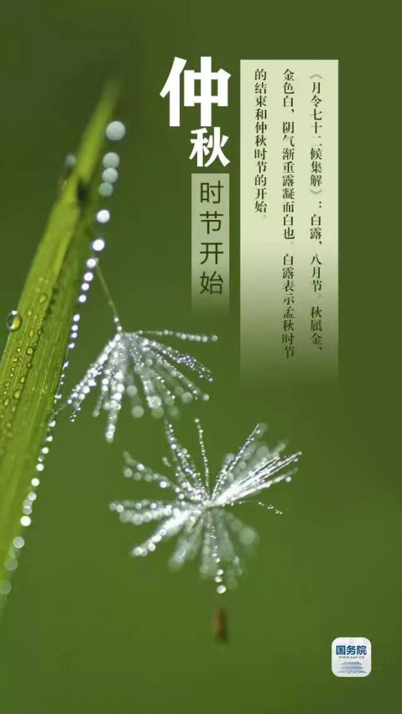 1662516889673160.png