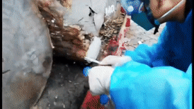 ΢ͼƬ_20221110110652.gif