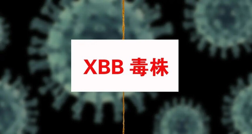 1672801202206446.jpg 微信图片_20230104105937.jpg