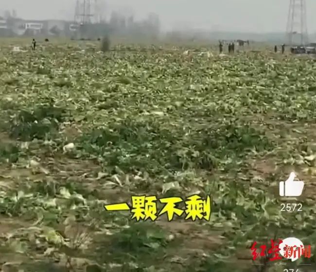 1672970880307466.jpg 微信图片_20230106100402.jpg