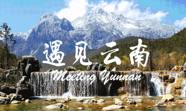1677745935253408.gif 微信图片_20230302163155.gif