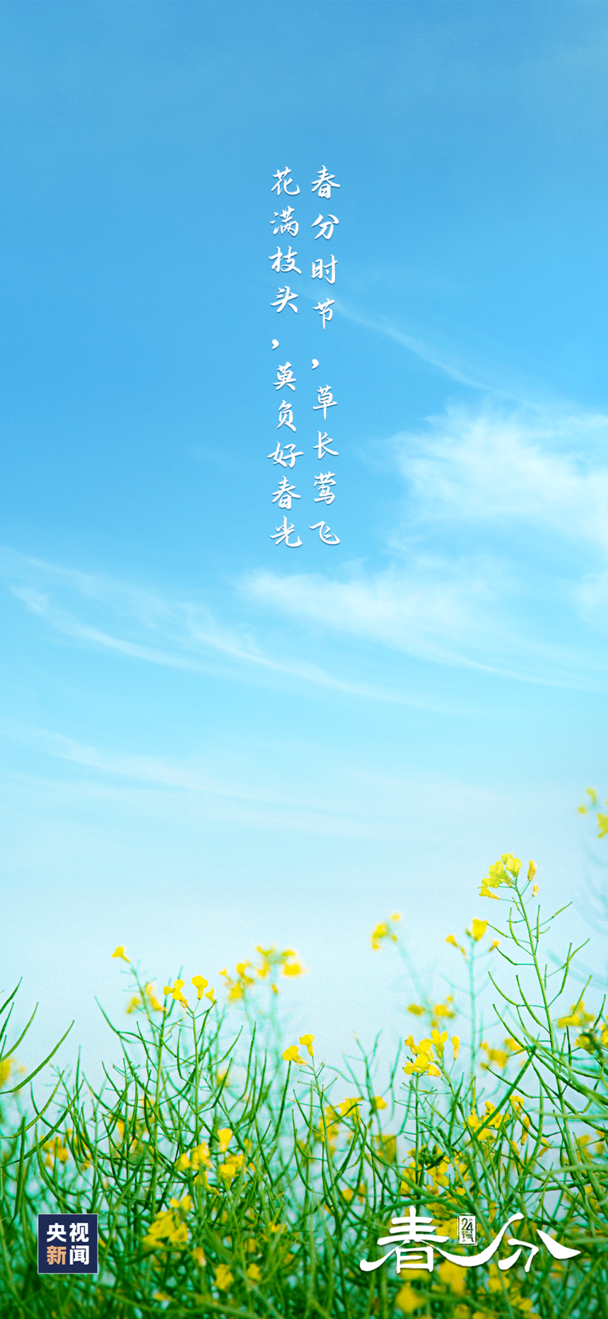 1679363721615351.png